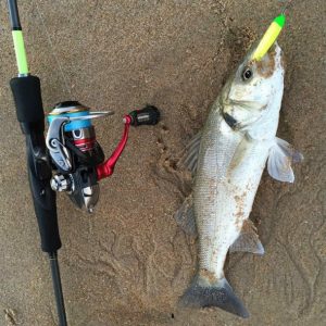 Señuelos básicos para pesca a SPINNING – Cómo usarlos - Entre Cañas